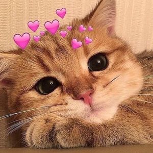 Meet your Posher, Klaire